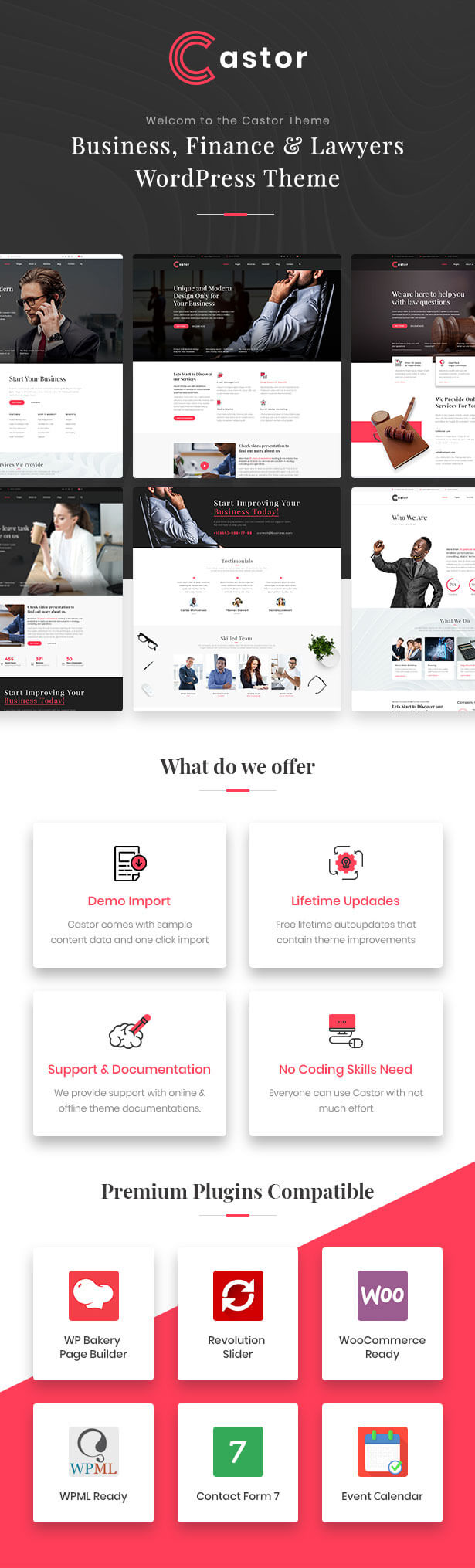 Castor - Business Consulting WordPress Theme - 1