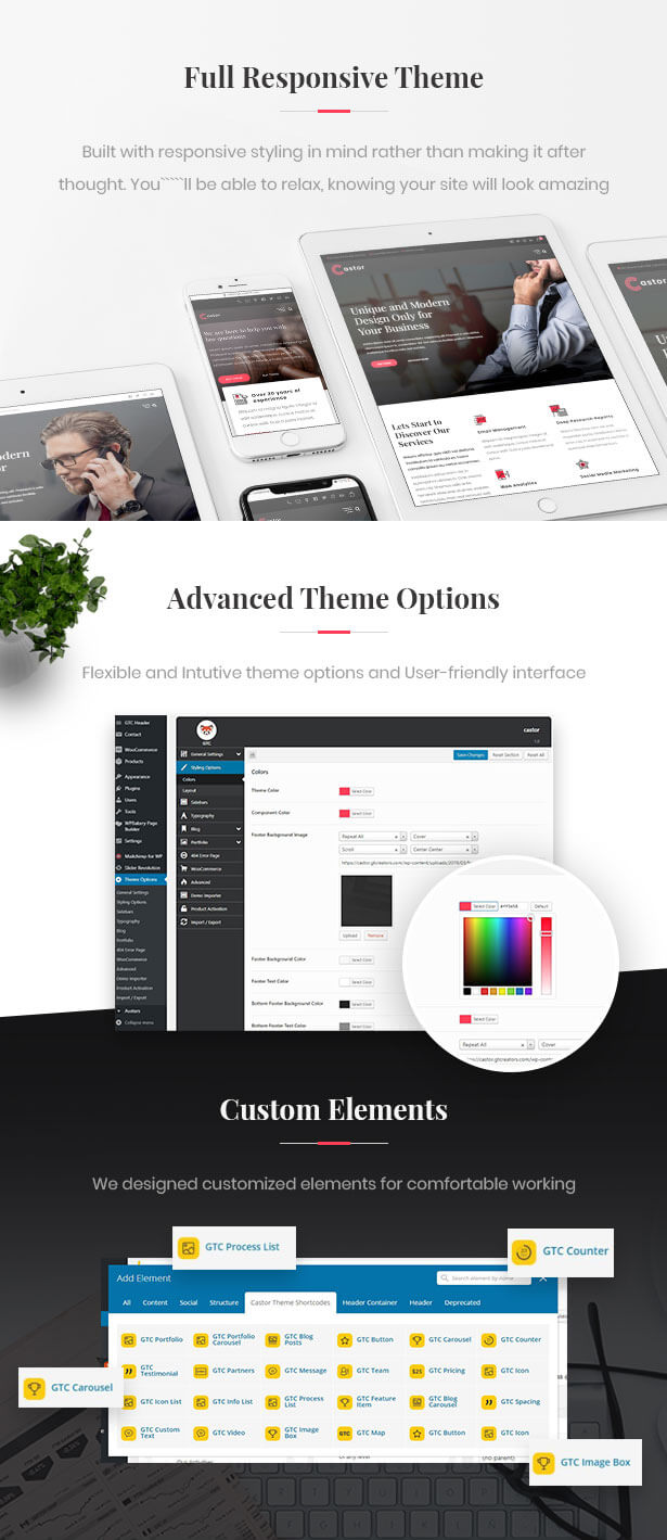 Castor - Business Consulting WordPress Theme - 2