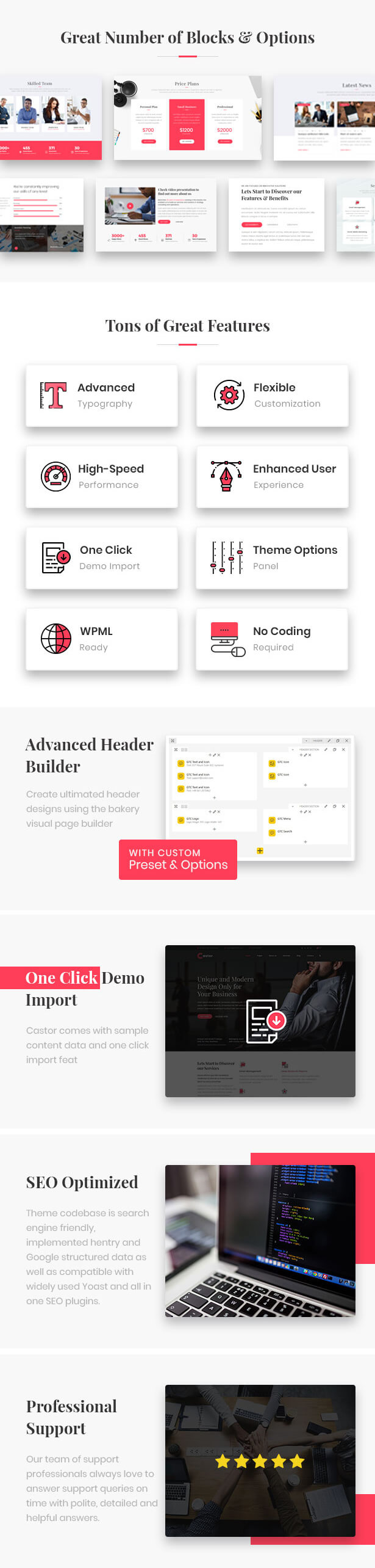 Castor - Business Consulting WordPress Theme - 3